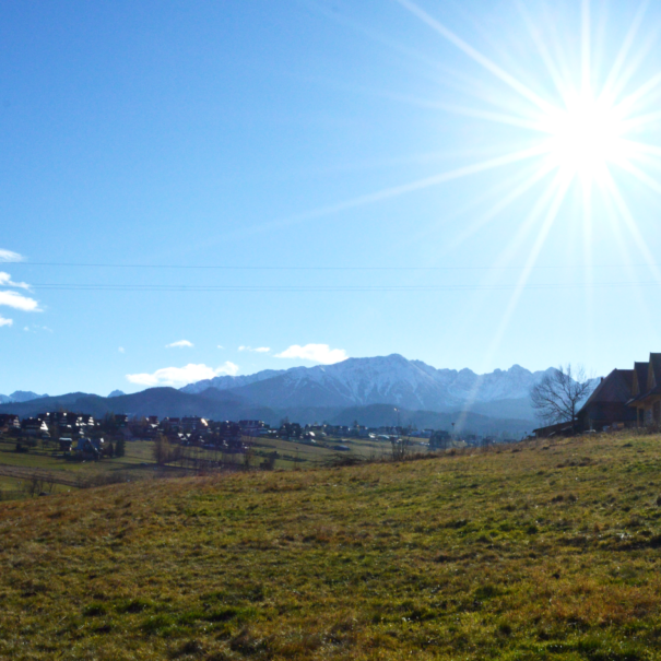 DSC_0059v2