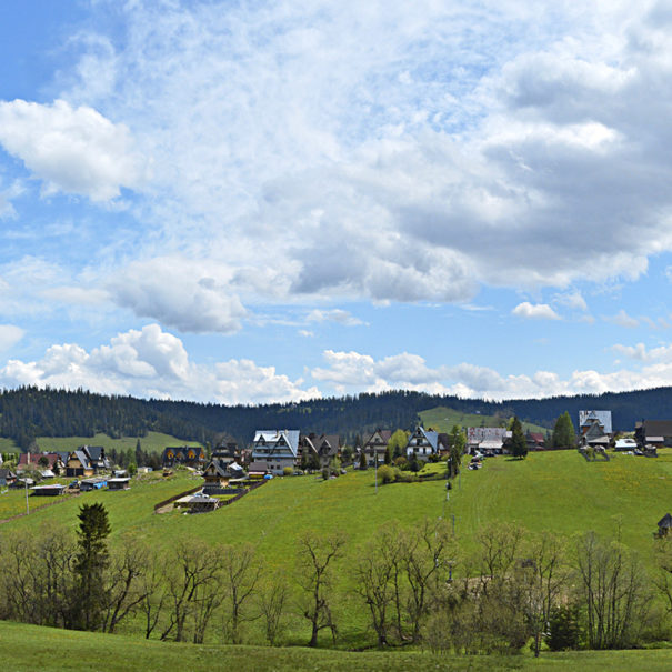 panorama v03_kolor kadr