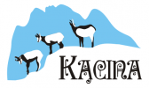 logo logo